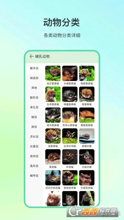 ����ٿ�(��ֲ��ٿ�)v4.1.5 �ٷ�����
