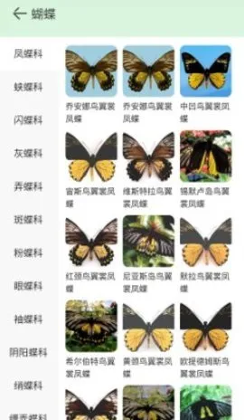 ����ٿ�(��ֲ��ٿ�)v4.1.5 �ٷ�����