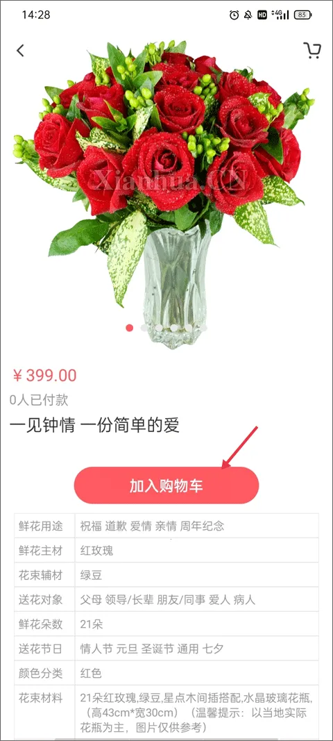 �ʻ���2025���°汾