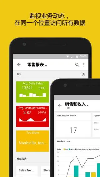 Power BI�����ֻ���