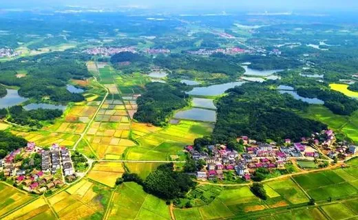 云上高(本地资讯平台) 云上高(本地资讯平台)