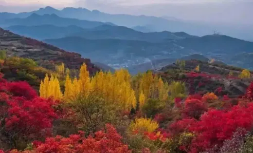 ���ϵǷ�(�Ƿ���ý��ƽ̨)