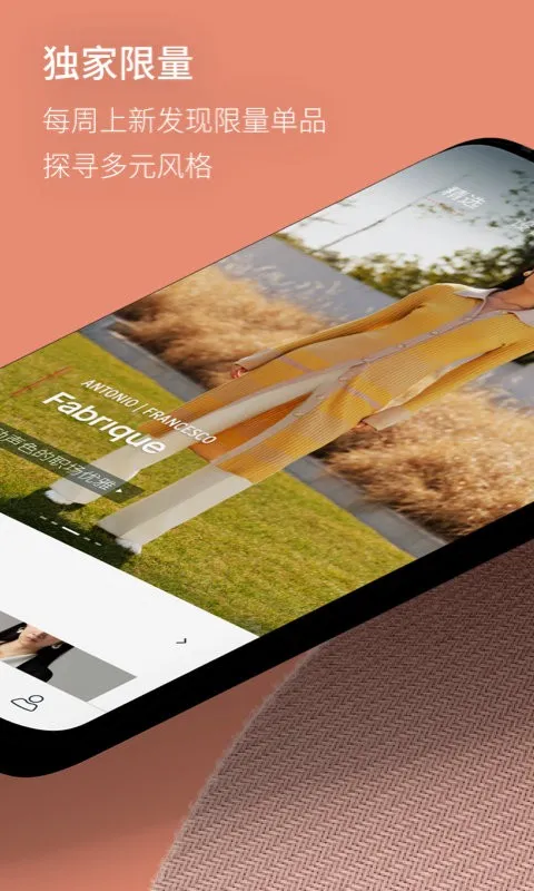 Fabrique2025����v2.3.3 app