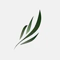 ����С˵2025���ذ�װv1.4.07 app