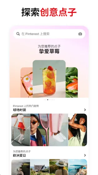 pinterest(ͼƬ�罻����)v14.7.0 app