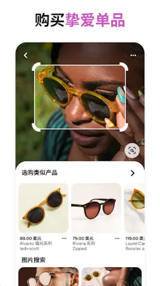 pinterest(ͼƬ�罻����)v14.7.0 app