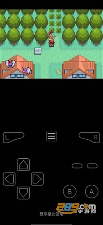 �ڴ����� ���Ļ��(�ڴ�������Ϸ)v1.0 app