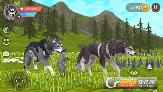 WildCraft2026�ٷ����°汾v36.1_powervr ��Ѱ�