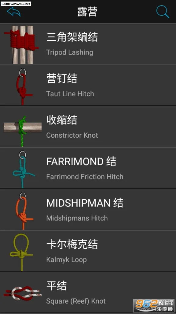 Knots 3Dv10.8.3 app