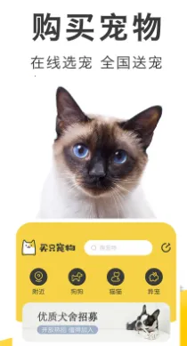 买只宠物 买只宠物