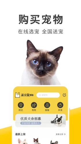 买只宠物 买只宠物