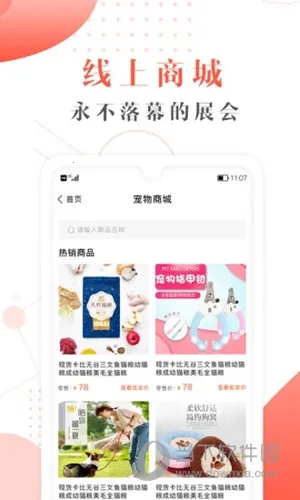 ��ű�2026���°汾